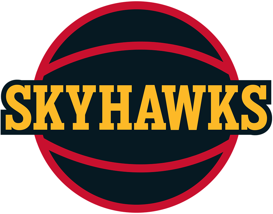 College Park Skyhawks 2019-Pres Alternate Logo iron on transfers for T-shirts